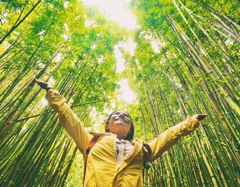 sustainable future