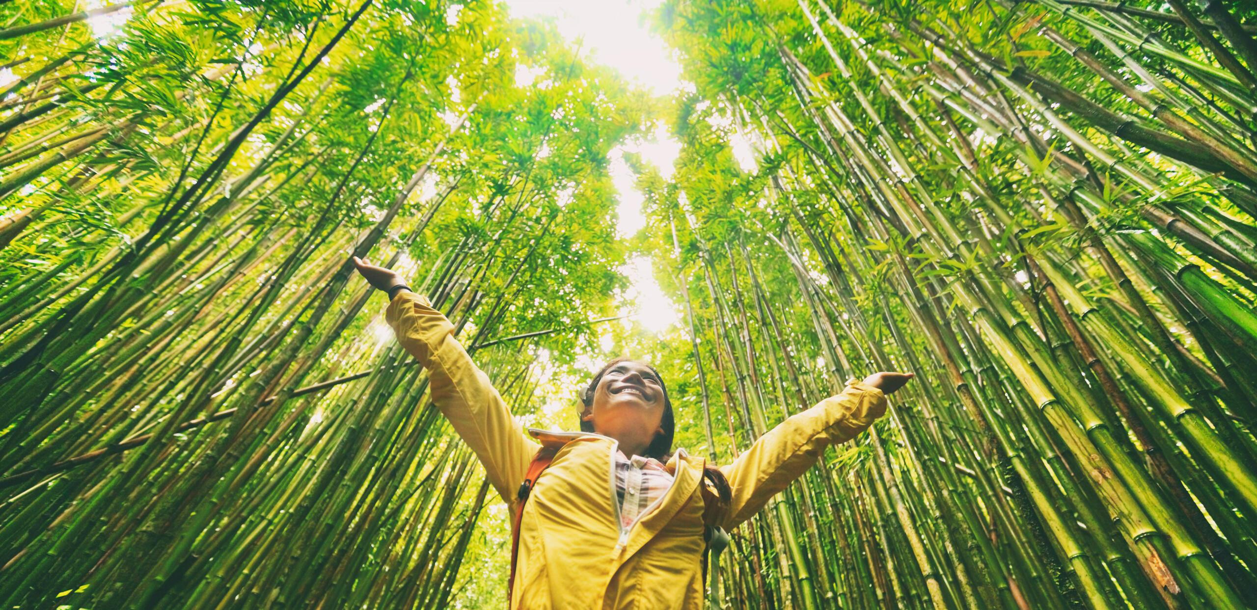 sustainable future